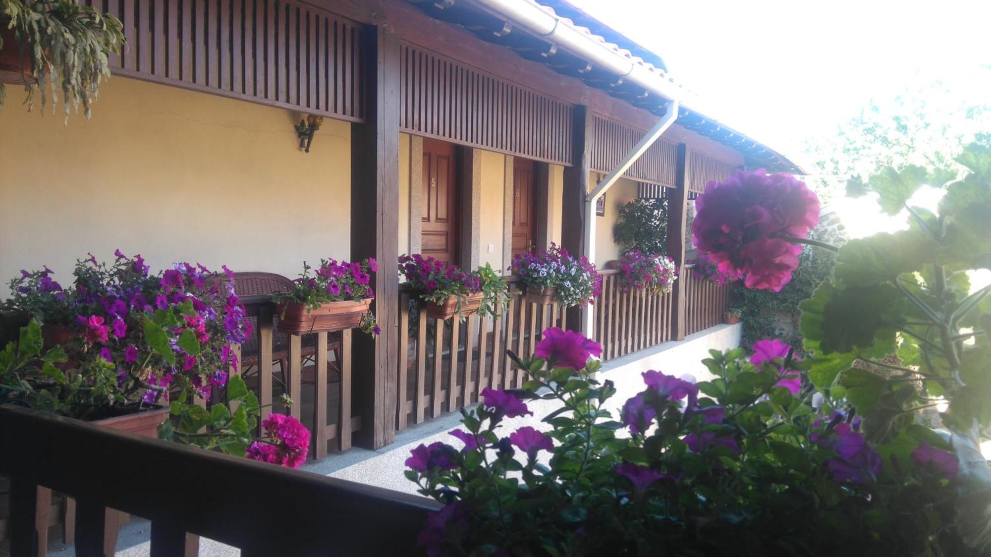 Agroturismo Quinta Dom José Braga Esterno foto